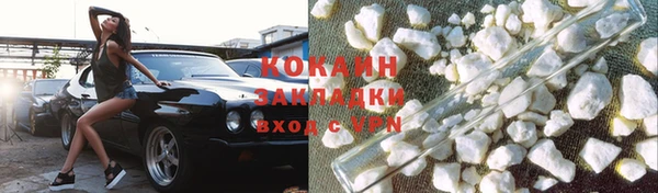 гашик Богданович