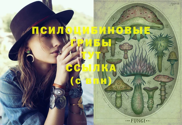 гашик Богданович